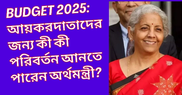 Budget 2025: আয়করদাতাদের জন্য কী কী পরিবর্তন আনতে পারেন অর্থমন্ত্রী?